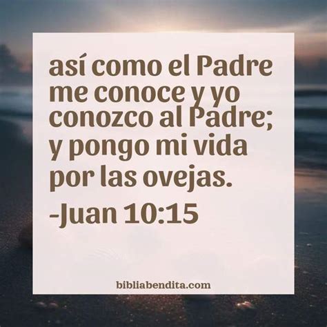 Explicación Juan 10:15. 'así como el Padre me conoce y yo conozco al Padre; y pongo mi vida por ...