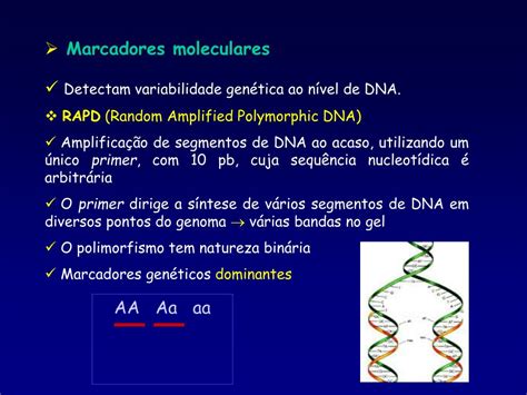 Ppt Emprego De Marcadores Moleculares Rapd No Estudo Gen Tico De