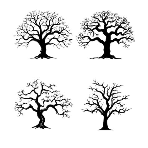 Premium Vector Old Tree Vector Silhouette