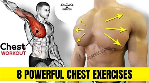 8 Wider Chest Exercises At Gym How To Build Bigger Chest Chest