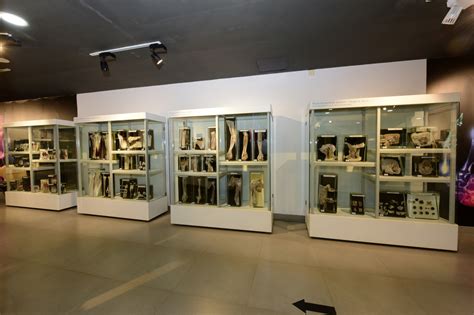 Manipal Museum of Anatomy and Pathology - Manipal Academy of Higher ...