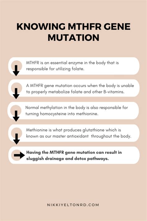 How To Support Your Mthfr Gene Mutation Nikki Yelton Rd