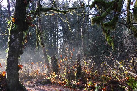 The Marsh Trail Minnekhada Park This Winter Landscape In Flickr