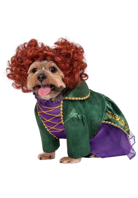 Disney Hocus Pocus Winifred Sanderson Dog Costume