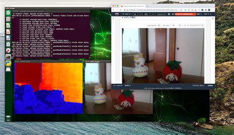 Kinesis Video Streams Jetson Nano上でインテル RealSense の画像を処理すると同時に