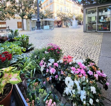 Cadix Plaza de las Flores Présentation et avis des voyageurs