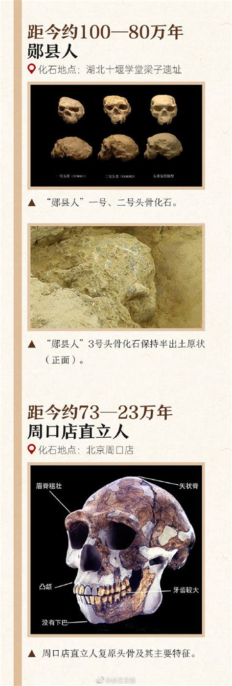 湖北十堰学堂梁子遗址郧县人3号头骨化石又有哪些新发现 神秘的地球 科学 自然 地理 探索