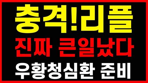 긴급시청 충격 리플 진짜 큰일났다 우황청심환 준비하세요 리플코인리플대응리플반등리플소송리플 Youtube