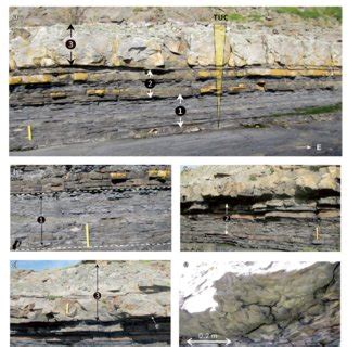 a Examples of deep-lacustrine turbidite channel-fill deposits of the... | Download Scientific ...