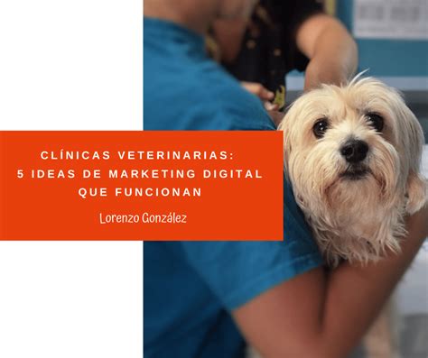 Veterinarios estrategias de MARKETING DIGITAL para clínicas