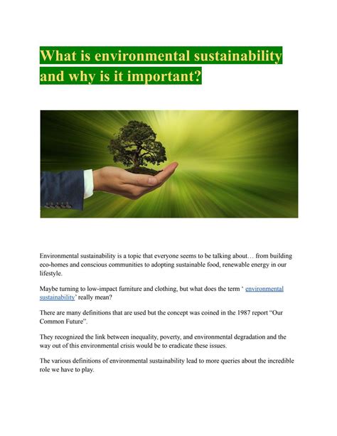 What Is Environmental Sustainability And Why Is It Important By