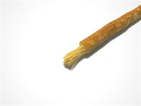 Siwak Miswak Traditional Free Photo On Pixabay Pixabay