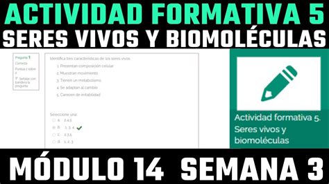 Actividad Formativa Seres Vivos Y Biomol Culas M Dulo Semana