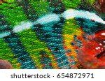 Chameleon Skin Texture Free Stock Photo - Public Domain Pictures