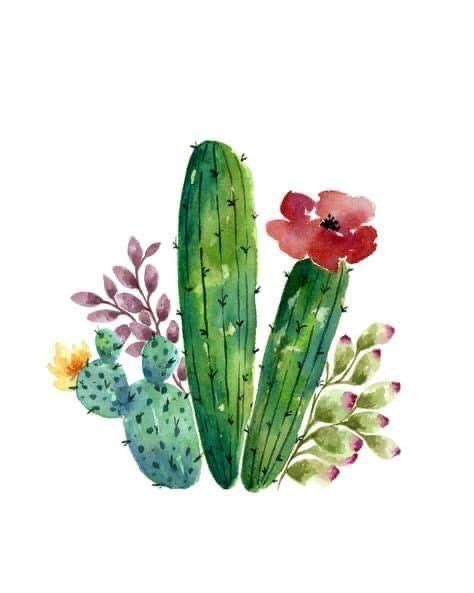 Pin By Ara Dattoli On Cactus Suculentas Cactus Drawing Cactus