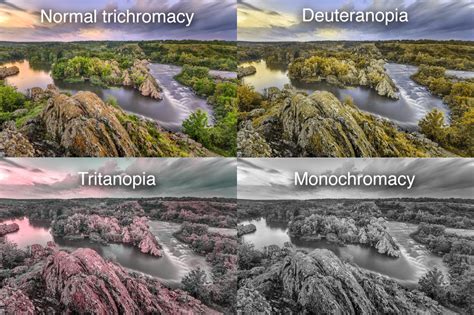 Colour Blindness Colour Theory Understanding And Working With Colour