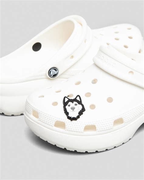 Shop Crocs Husky Dog Jibbitz In Multi Fast Shipping And Easy Returns