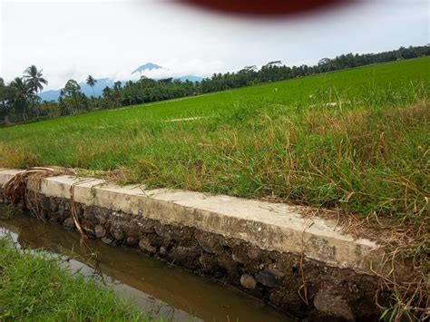 Pembangunan Talud Jalan Usaha Tani Diduga Dikerjakan Asal Asalan Baru