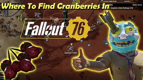 How To Use And Where To Find Cranberries In Fallout 76 YouTube