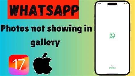 How To Fix WhatsApp Photos Not Showing In Gallery 2024 YouTube