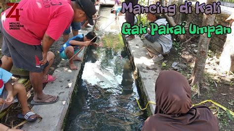 Lomba 17 Agustus Mancing Ikan Di Kali Youtube