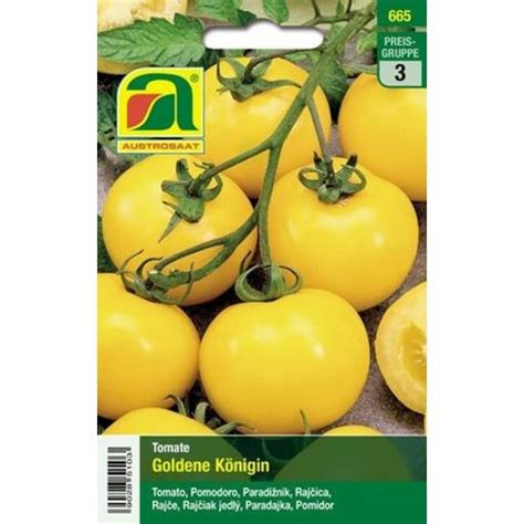 AUSTROSAAT Tomate Goldene Königin 1 sachet Bloomling France