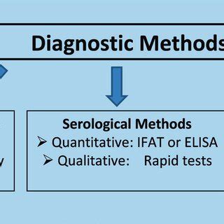 Parasitological Serological And Molecular Techniques For The Diagnosis