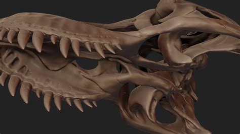 ArtStation - T.rex Skull Sculpt | Resources