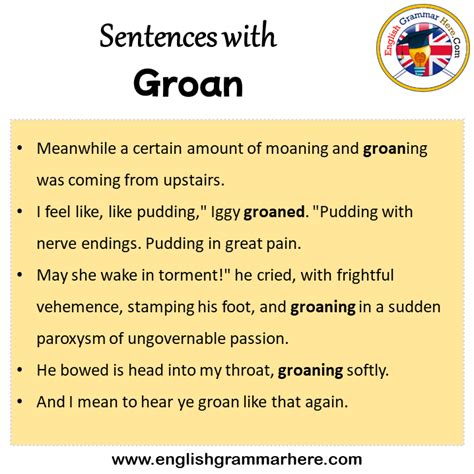 Sentences with Groan, Groan in a Sentence in English, Sentences For ...