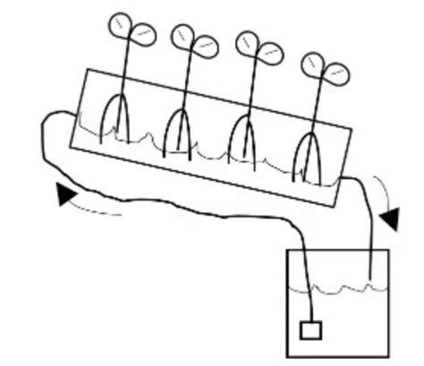 Hydroponic Ecosystem Everything You Need To Know Shrink That Footprint