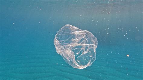 Ocean pollution - taking plastic bag from the sea 30012321 Stock Video at Vecteezy