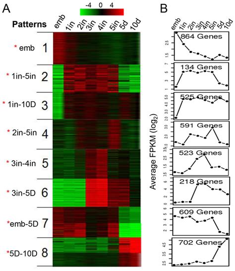 K Means Clustering For Differentially Expressed Genes And Expression