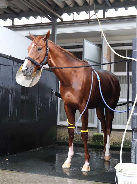 【新馬戦】アルテヴェローチェ 速さと馬力兼備 山田助手が大絶賛「言うことなしです」 競馬ニュース Netkeiba