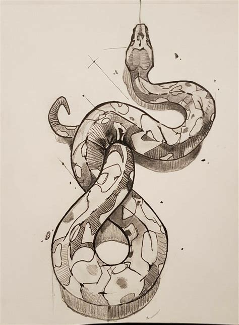 A Pencil Drawing Of A Snake On Paper