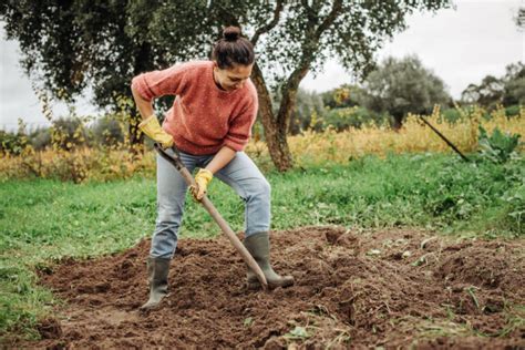 Spade Vs Shovel Which Is Best For Trenching Gardens Dirt And Snow