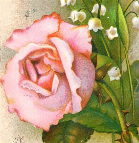 S Embossed Victorian New Year S Wish Card Pink Rose Lily Of The