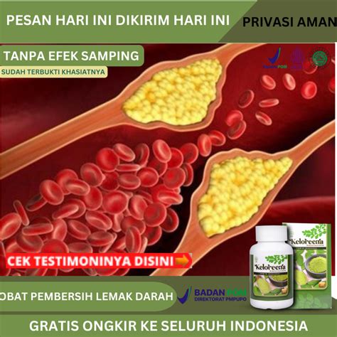 Jual Obat Pembersih Lemak Darah Obat Pengencer Darah Beku Darah