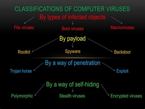 Ppt Classification S Of Computer Viruses Powerpoint Presentation