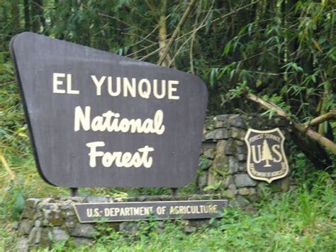 El Yunque National Forest Wildlife | visit puertorico com pr | El ...