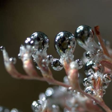 Beautiful Colorful Rain Drops | Funzug.com