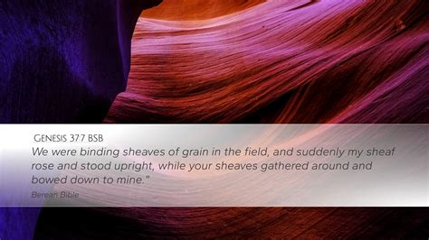 Genesis 37 7 BSB Desktop Wallpaper We Were Binding Sheaves Of Grain