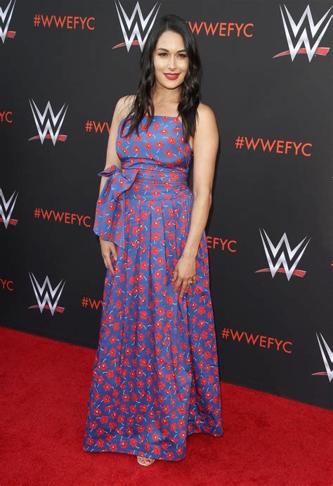 BRIE and NIKKI BELLA at WWE FYC Event in Los Angeles 06/06/2018 ...