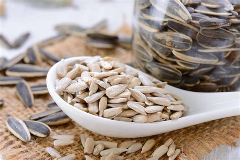 How Long To Soak Sunflower Seeds Before Planting Storables