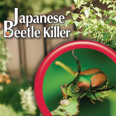 Bonide Japanese Beetle Killer Spray - Double A Vineyards