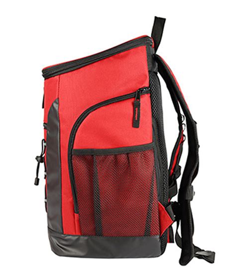 Supply Outdoor Picnic Refrigerated Ice Pack Insulation Backpack Factory