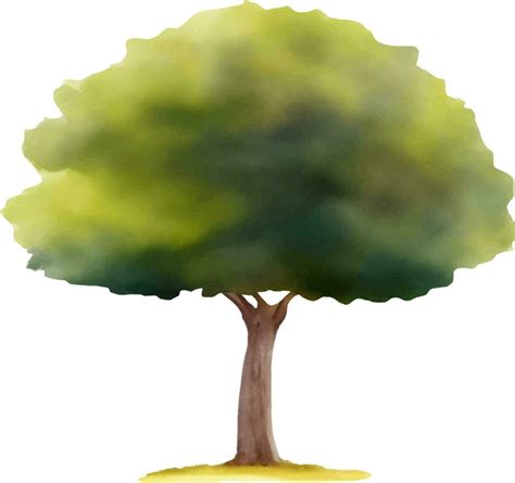 Beautiful Tree Hand Drawn Watercolor Painting 28566476 Vector Art at Vecteezy