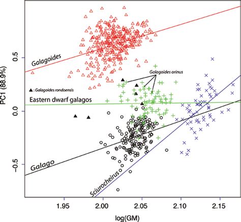 Allometric Trajectories For Each Genus Described By The Linear