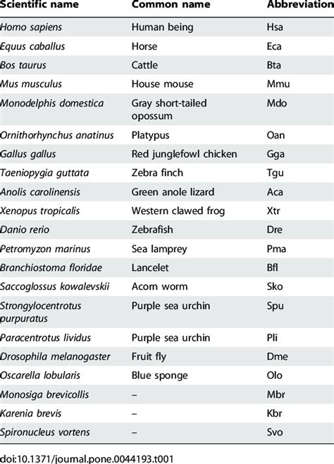 Scientific Names Common Names And Three Letter Code Abbreviations Used Download Scientific