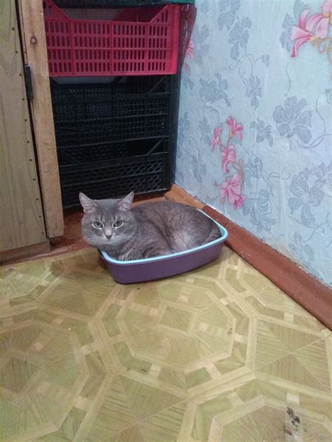 Немного релакса вам в ленту | Пикабу