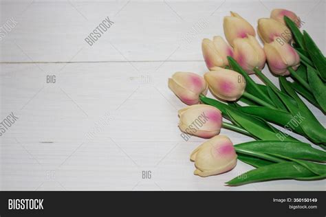 Tulips Field Tulips. Image & Photo (Free Trial) | Bigstock